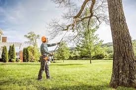 Lawn Watering Services in Floresville, TX